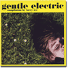 Gentle Electric reviewed in the gullbuy